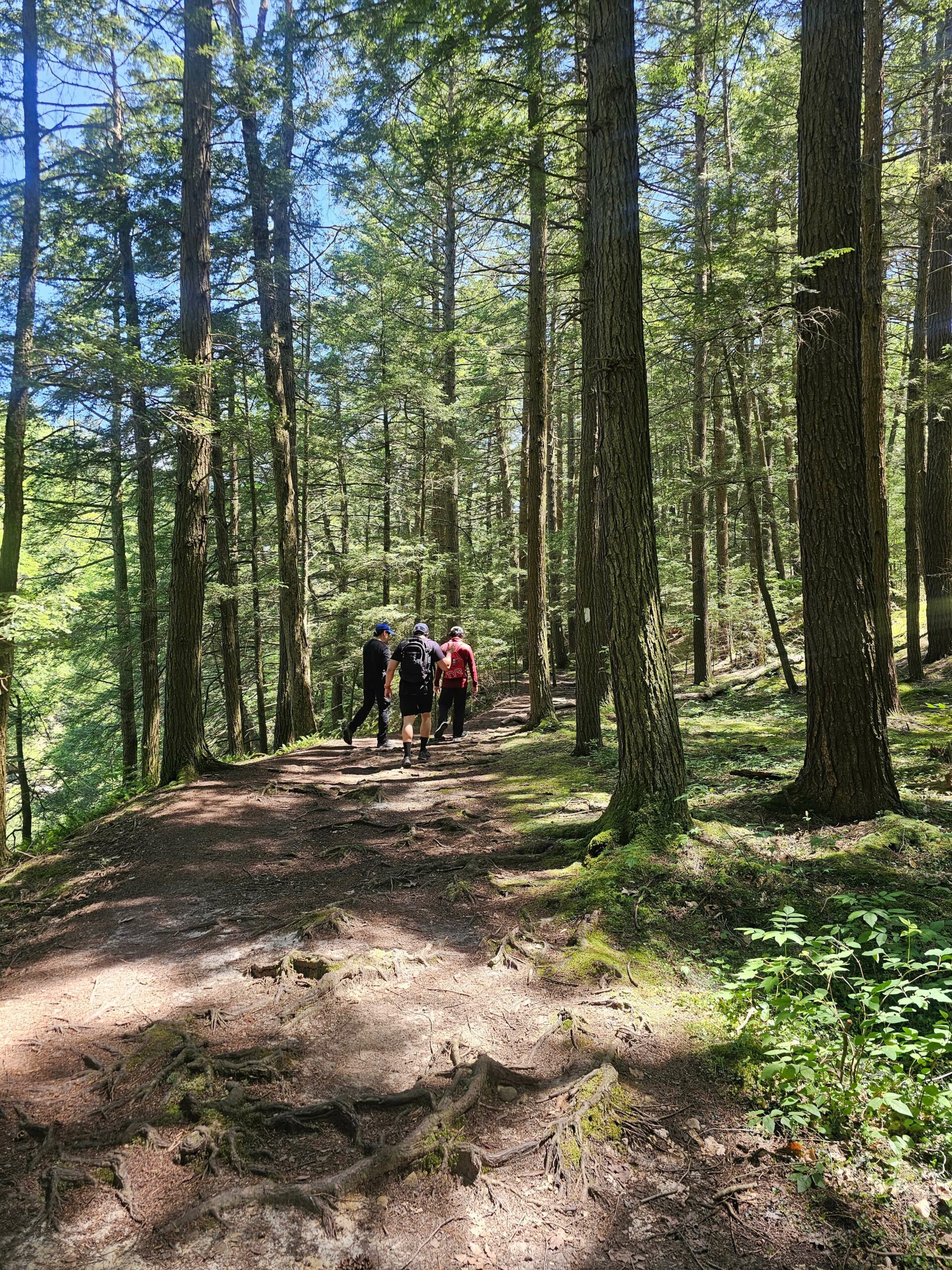 guys walking on a path in the woods