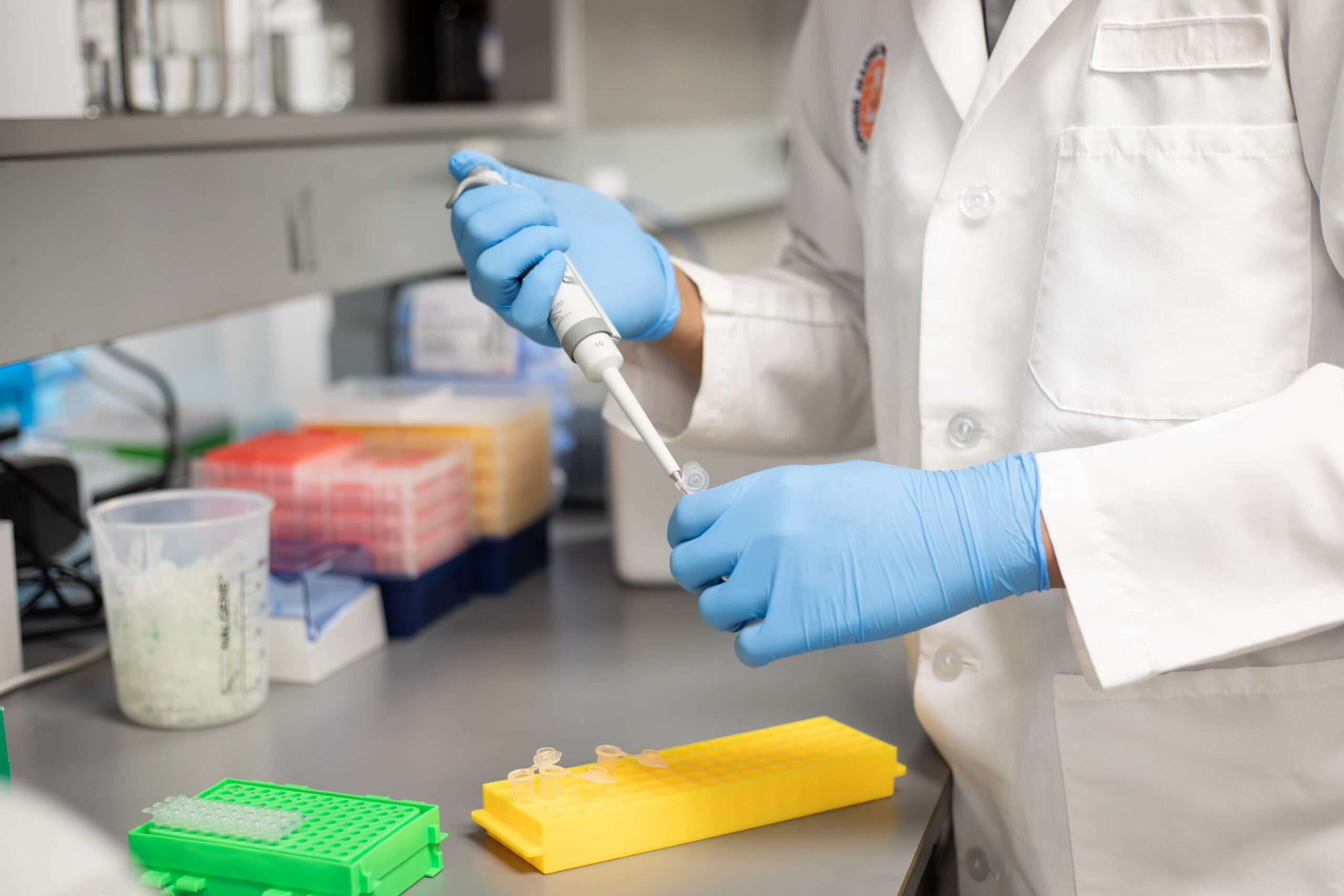 Lab tech working on a research project