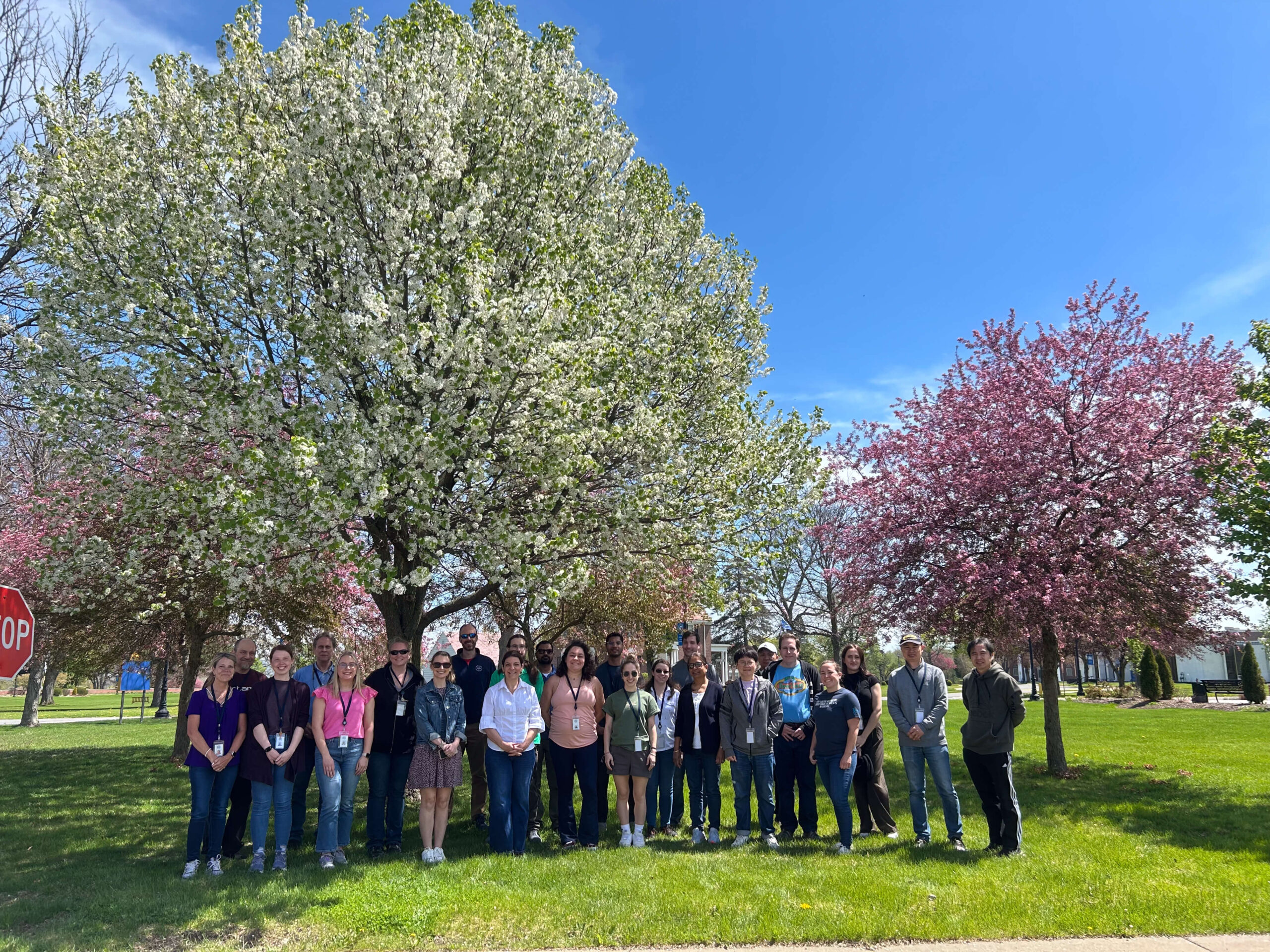 members of MMRI standing under spring trees