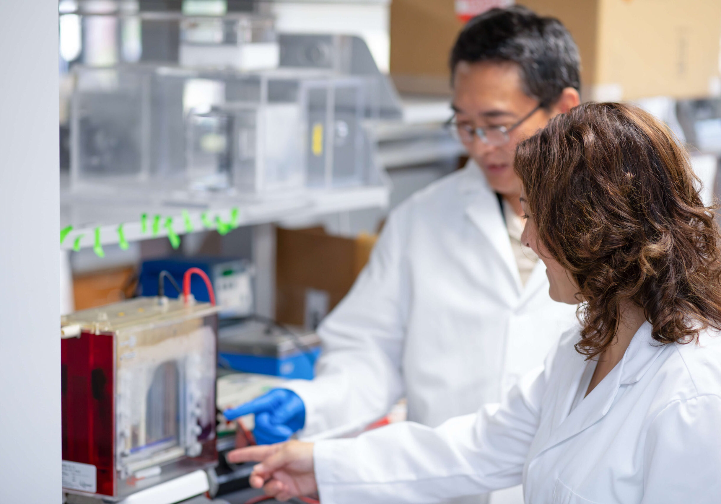 scientists looking at an experiment